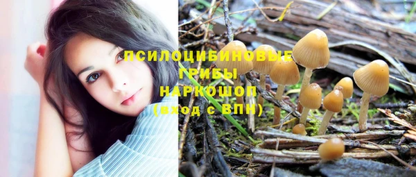 первитин Михайловск